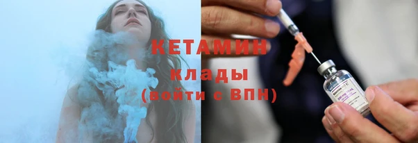 сатива Новокубанск