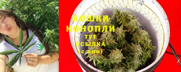 бошки Новодвинск