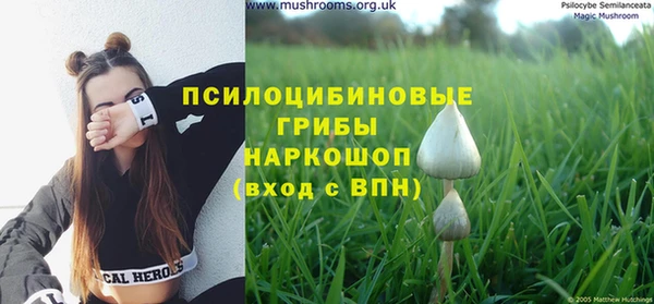 прущий лед Дмитров