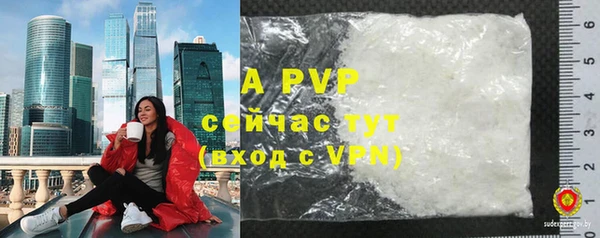 сатива Новокубанск