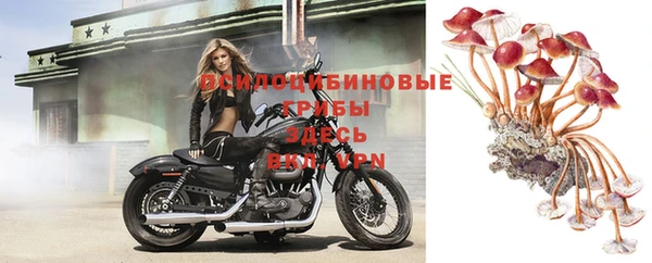 метамфетамин Дмитриев