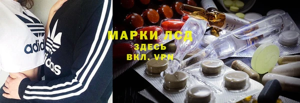 бошки Новодвинск